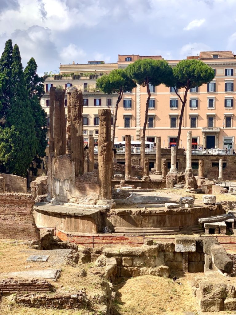 Священное место, где был убит Цезарь. Коты Рима. Фото